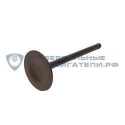 Клапан впускной Zongshen GB1000, GB1000EFI, XP1000 100087303 p20