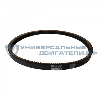 Ремень вариатора 22x12x975La Comet 40, TAV-2 40