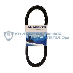 Ремень вариатора 20x10x669La AKABELTS p10